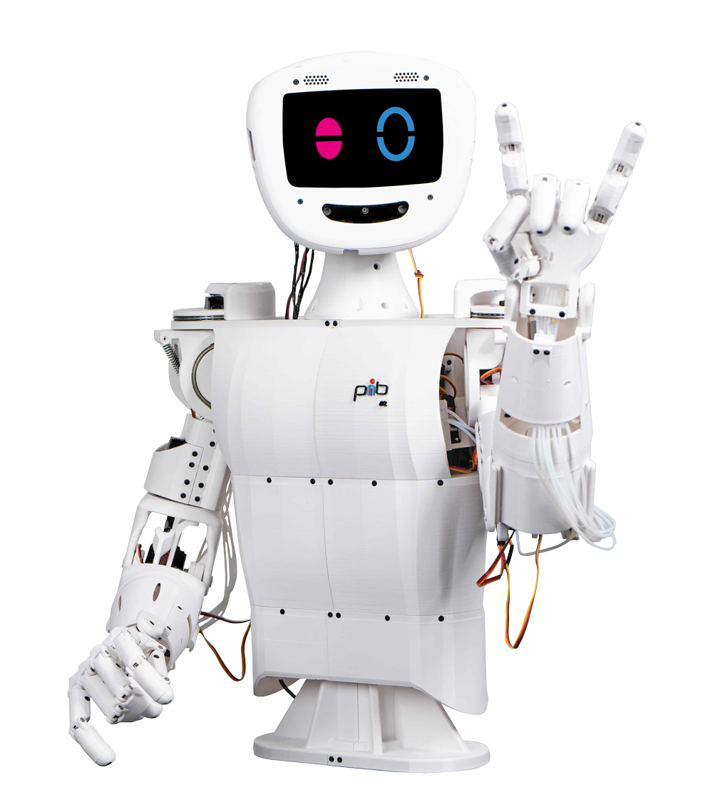 Humanoid Robot pib