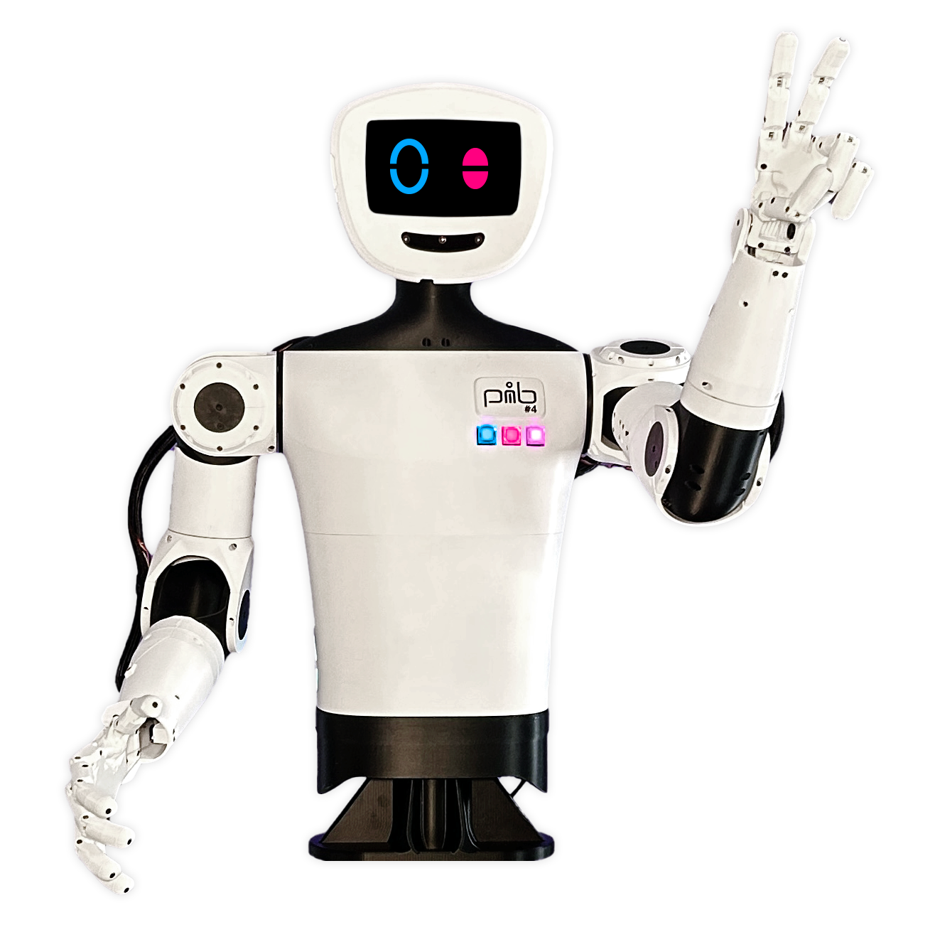 pib#4-Marketingbild-blanko